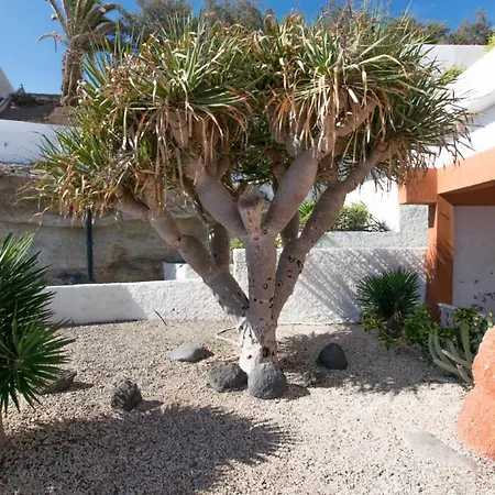 Classy Bungalow With Pool & 300mb 500m From Sea Casa de Férias Candelaria